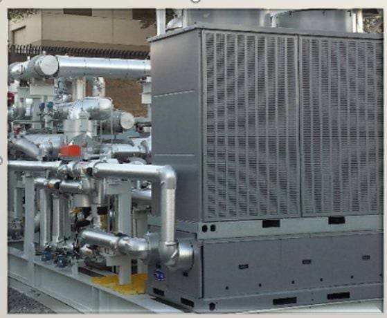 Packaged cooling skid with pumps and heat exchanger